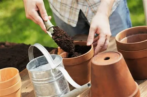 tierra para macetas o tierra vegetal