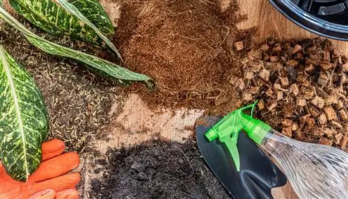 Mezcle tierra para macetas con tierra para orquídeas