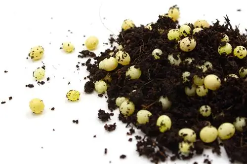 yellow-dots-in-potting-soil