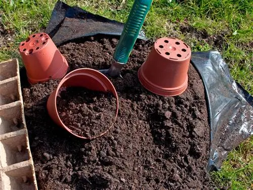 Cara mengeringkan tanah pot dengan benar