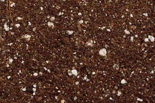 Why you can recognize high-quality potting soil by its white beads