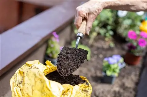 How to recognize good potting soil