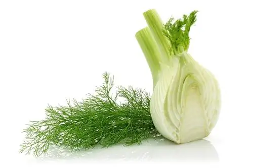 dill mixup