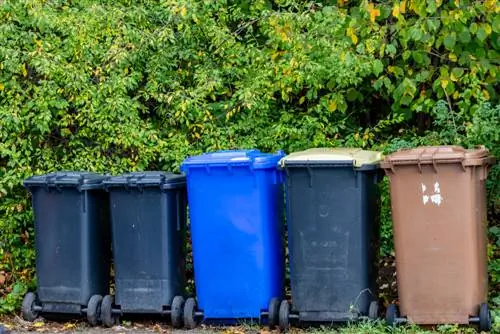 črvi v zabojniku za organske odpadke