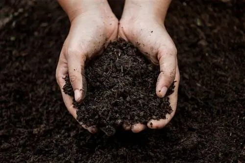 տարբերություն-փորող հող-potting հող