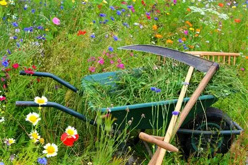 Scythes: The optimal choice and care for effortless mowing