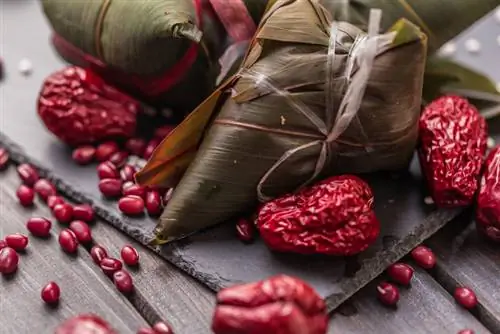 Junco: Descubra este vegetal selvagem versátil