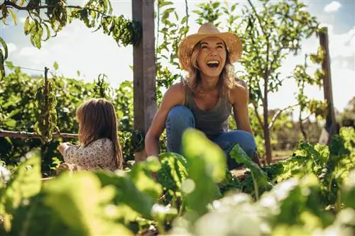 Jardineria: curació per al cos, la ment i l'ànima