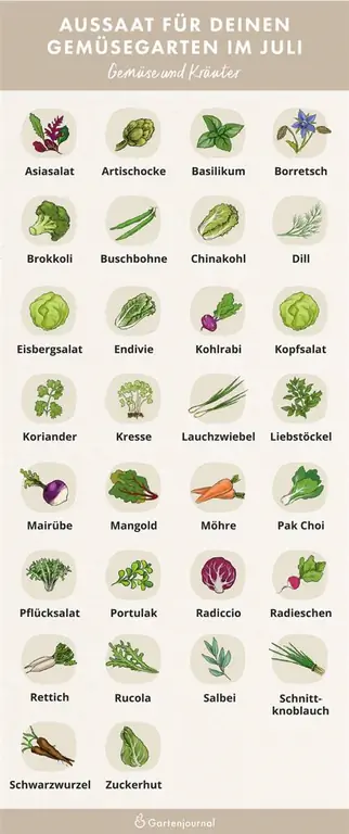 Illustration showing which vegetables and herbs are sown in July