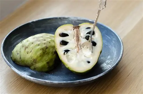 Cherimoya: maklumat produk tentang buah eksotik