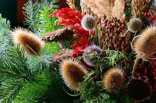 Dry thistles for gorgeous arrangements