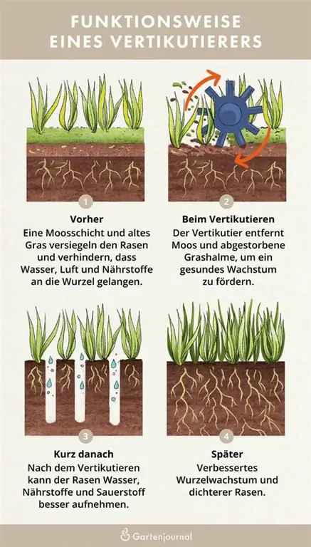 Illustrazione che mostra come funziona uno scarificatore