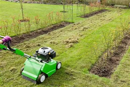 Perawatan rumput: Melakukan skarifikasi untuk mendapatkan halaman rumput yang sehat dan lebat