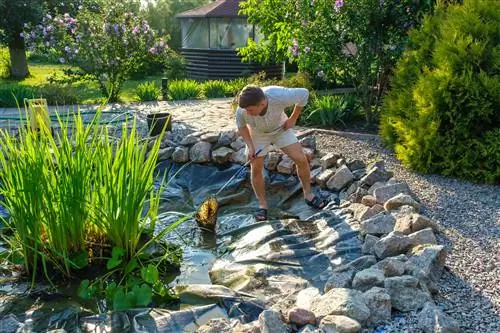 Kaip panaudoti anglį nuo dumblių savo sodo tvenkinyje