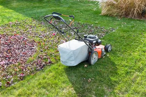 Gazononderhoud in de herfst - dit is waar u nu op moet letten