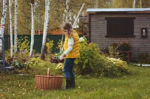 Tuin schoonmaken in de herfst